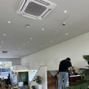 편백숲 | 공주시 감성 맛집/편백숲, 샤브길 후기