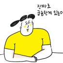JNFit 이미지