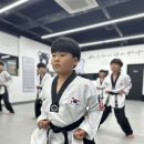 품 태권도장 | 송악태권도장 품태권도장에서의 특별한 경험