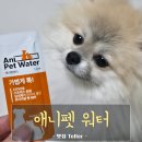 애니펫 | 강아지 입냄새 원인과 제거를 위한 애니펫워터 후기(feat.마로)