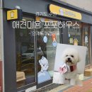 인계초등학교 | 인계동 애견미용 포포하우스 | 비숑 가위 컷 전문 1:1 맞춤케어 후기