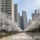 잠일초교병설유치원 이미지