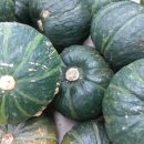 인동초등 병설 이미지