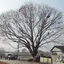 청원소공원 이미지