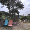 호영이네 하우스 이미지