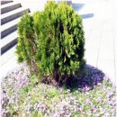 오전의 국악콘서트 - 다담 | 따뜻한 봄날에, '차와 이야기'가 있는 오전의 국악콘서트 "다담"