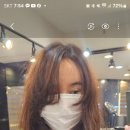뽀끌레 이미지