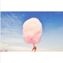 노이하우스 민박 이미지