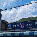 태백수족관 이미지