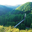 장태산휴양림 이미지