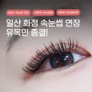 이문53 | 일산 화정 속눈썹 유목민 주목! 실패 없는 '한 끗 차이' 디테일 맛집 블리쉬 솔직후기 (주차꿀팁 포함)