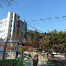 금수강산헬스 이미지