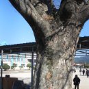 창선초등학교 이미지