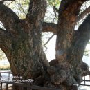 아랫선골 이미지