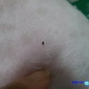 마린동물병원 이미지