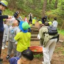 광판초등학교 병설유치원 이미지