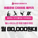 바디소나타요가필라테스 네이버블로그