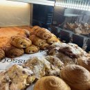 보리수카페 이미지