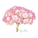 보테니컬 이미지