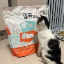 케어삽 | 고양이모래 추천, 야옹섬 깔끔보스 벤토나이트 신장방광케어용 사용 후기