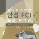 국제애견 이미지