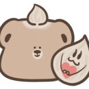 레그나나폴리 이미지