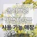 올리브영상주점