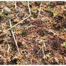 원주굽이길 13코스 구력재길 이미지