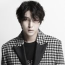 레오 이미지