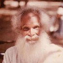 푸리바바 이미지