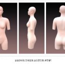 실리콘 인체모형(토르소) 이미지