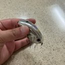 에버그린 베스트