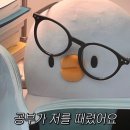 EP.1 | y00n의 부산부산 | 주절주절 써보는 부국제 검정치마 - 틴트러블 + 뽕을 찾아서 후기🖤