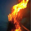 봉회1리 이미지