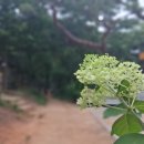 선학산 배드민턴장 네이버블로그