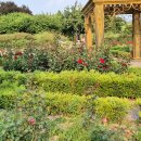 한밭수목원 이미지