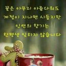 청명한 가을하늘 이미지