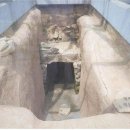 천도장묘 이미지