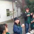 소나무숲펜션 Daum카페