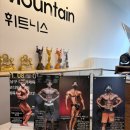 백두산 휘트니스 네이버블로그
