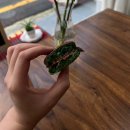 디저트요리 | 팔레트디저트 평일 웨이팅 후기 계산동 코스요리 맛집 라체나