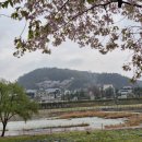 신신농장 이미지