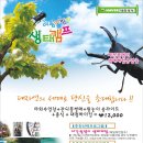 용매골 수영장 이미지