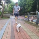 굿모닝~♡월요일~♡내 직감이 무섭다는~♡