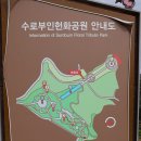 동양목장 | 【강원삼척】 동양최대의조각상이있는곳 ! 동해바다절경을보는곳 ! 삼척갈만한곳 ! 수로부인 헌화공원