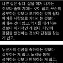 잎새 Daum카페
