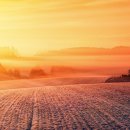 성심 태양광발전소 이미지