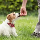 천수약국 이미지