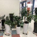 구로디지털단지 이미지