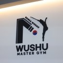 국가대표 우슈도장 이미지